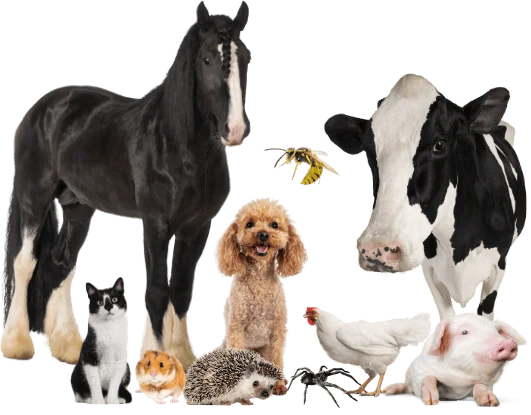 not-covered-animals-wyldguard-protection-warranty